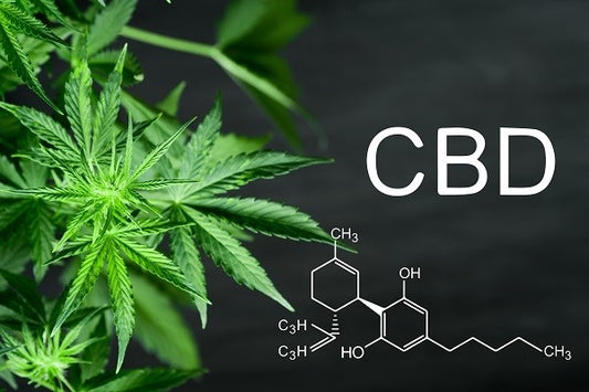 Is CBD good for your hair?